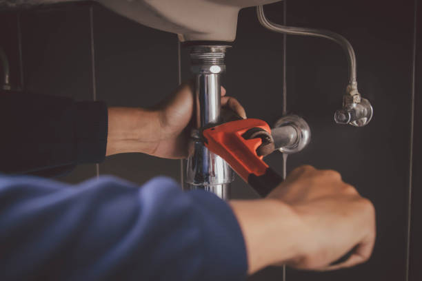 Best Affordable Plumbing Services  in Big Rapids, MI